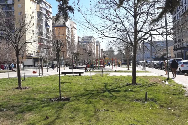 Ambient biznesi me qera 1+1 ne Tirane - 4,000 Euro
