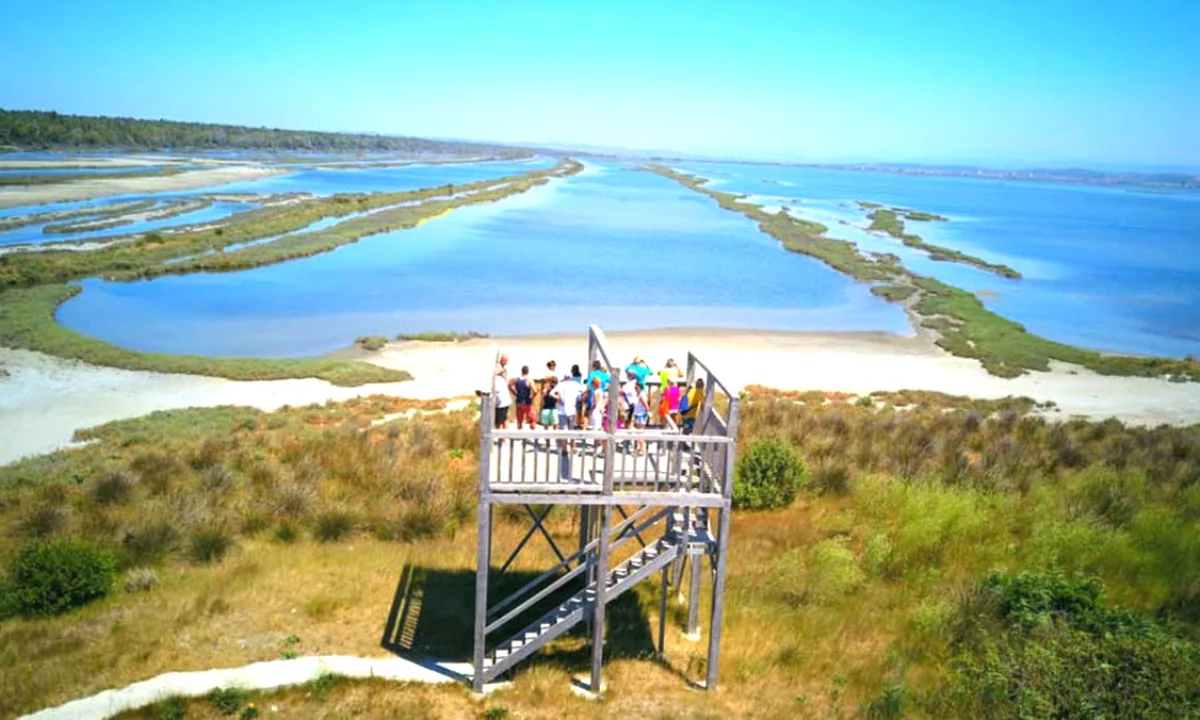 🏞️Shitet Lokal ne Divjake-Lushnje, Investim Gati per Perdorim!