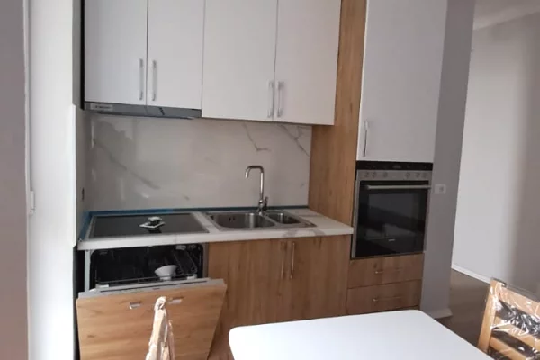 Apartment for rent in Tirana 1+1, Furnished