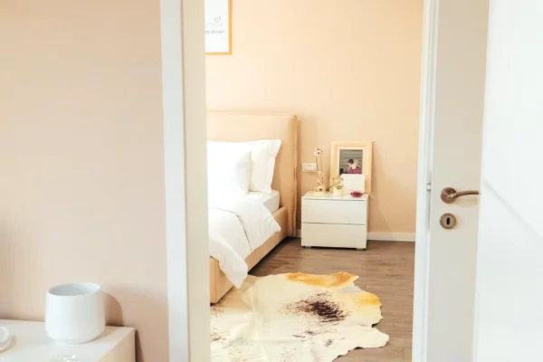 Apartment for rent in Tirana 1+1, Furnished