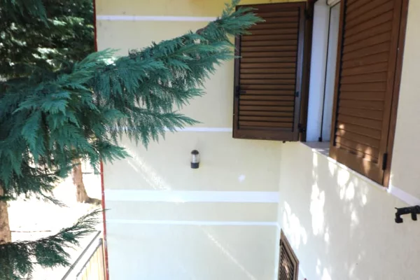 Shtepi ne shitje Vila Luksoze ne Pogradec, 5+1, Mobilimi Pjeserisht e mobiluar, Pagesa 265,000  Euro.