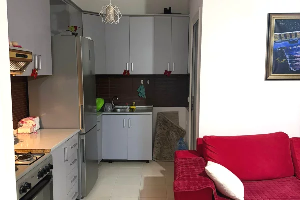 Shtepi me qera Apartament ne Tirane, 1+1, Mobilimi E mobiluar, Pagesa 450  Euro.