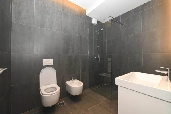 Shtepi me qera Apartament ne Tirane, 2+1, Mobilimi E mobiluar, Pagesa 130,000  Leke.