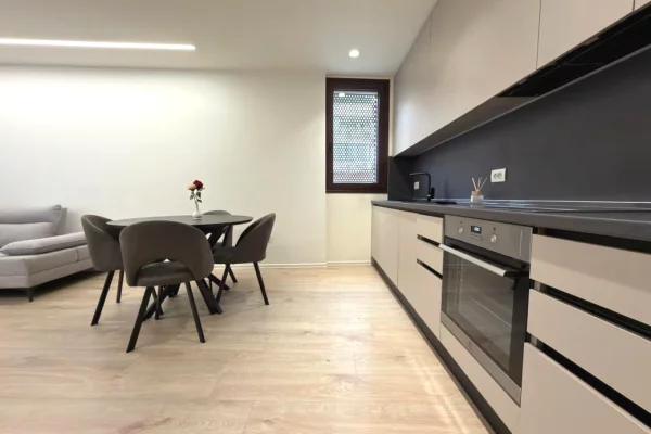 Shtepi me qera Apartament ne Tirane, 1+1, Mobilimi E mobiluar, Pagesa 1,200  Euro.