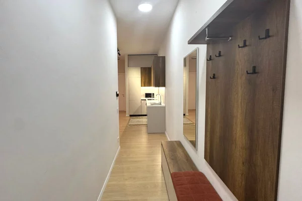 Shtepi me qera Apartament ne Tirane, 1+1, Mobilimi E mobiluar, Pagesa 799  Euro.