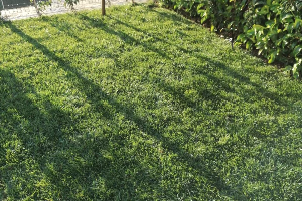 Luxury villas for sale in Tirana 4+1, Furnished