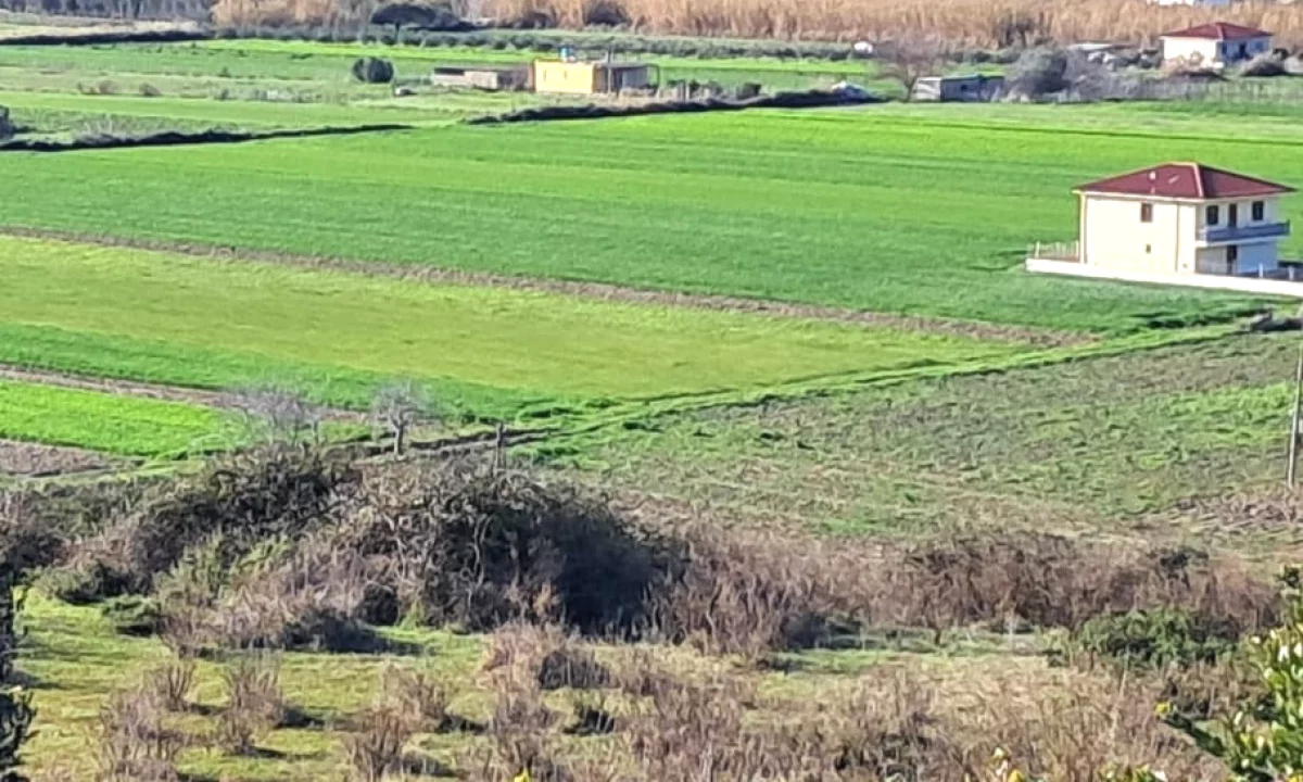 🌅Shitet toke me siperfaqe 6000 m2 ne zonen bregdetare te Spilles🌊