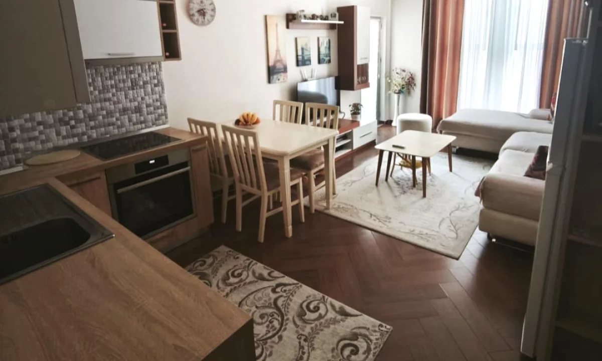 Shtepi ne shitje Apartament ne Tirane, 1+1, Mobilimi E mobiluar, Pagesa 110,000  Euro.