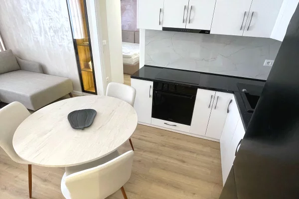 Shtepi me qera Apartament ne Tirane, 1+1, Mobilimi E mobiluar, Pagesa 600  Euro.