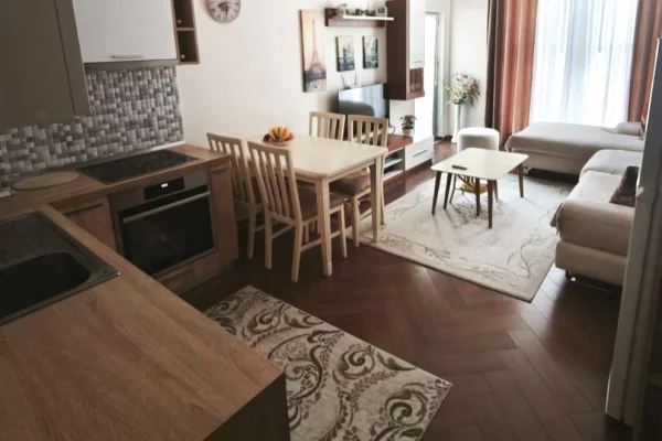 Shtepi ne shitje Apartament ne Tirane, 1+1, Mobilimi E mobiluar, Pagesa 110,000  Euro.