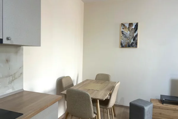 Shtepi me qera Apartament ne Tirane, 1+1, Mobilimi E mobiluar, Pagesa 600  Euro.