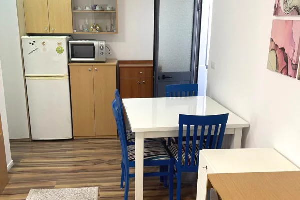 Shtepi ne shitje Apartament ne Tirane, Garsoniere, Mobilimi E mobiluar, Pagesa 99,000  Euro.