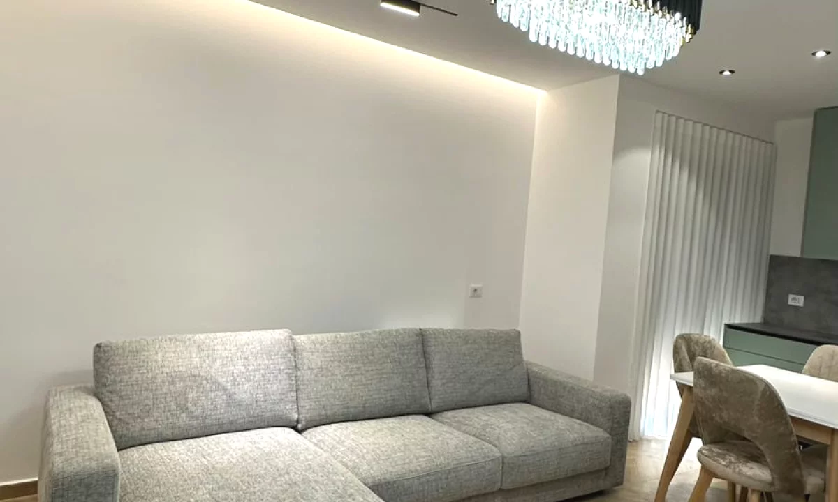 Shtepi me qera Apartament ne Tirane, 1+1, Mobilimi E mobiluar, Pagesa 650  Euro.