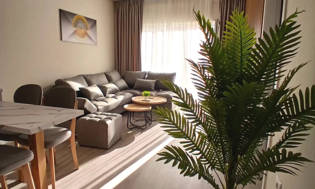 Shtepi me qera Apartament ne Tirane, 2+1, Mobilimi E mobiluar, Pagesa 900  Euro.