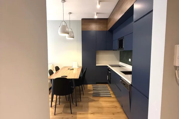 Shtepi me qera Apartament ne Tirane, 1+1, Mobilimi E mobiluar, Pagesa 650  Euro.