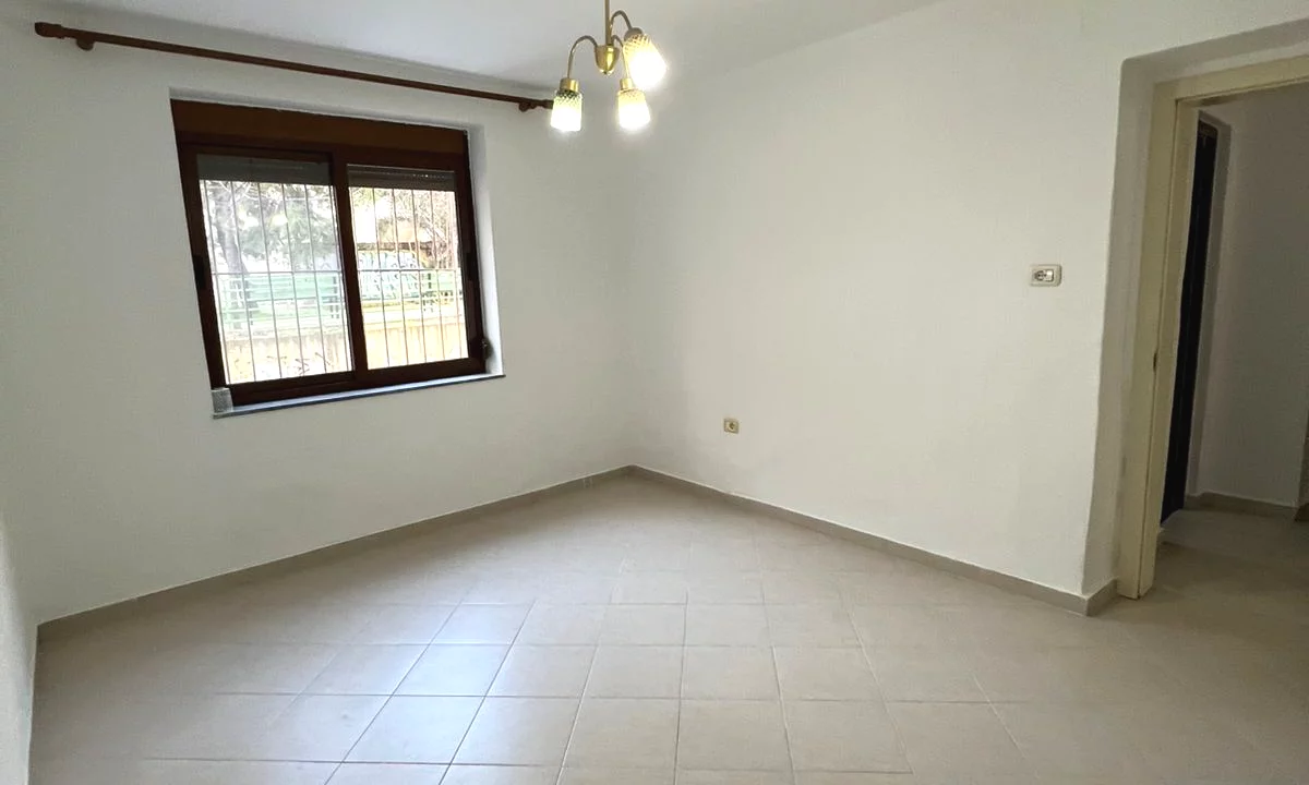 🏢Zyre me Qira Prane Shkolles Sabaudin Gabrani te 21 Dhjetori✨