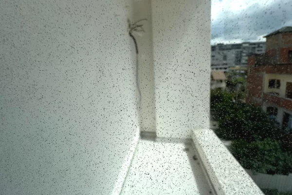 Shtepi ne shitje Apartament ne Tirane, 2+1, Mobilimi Bosh, pa mobiluar, Pagesa 125,680  Euro.
