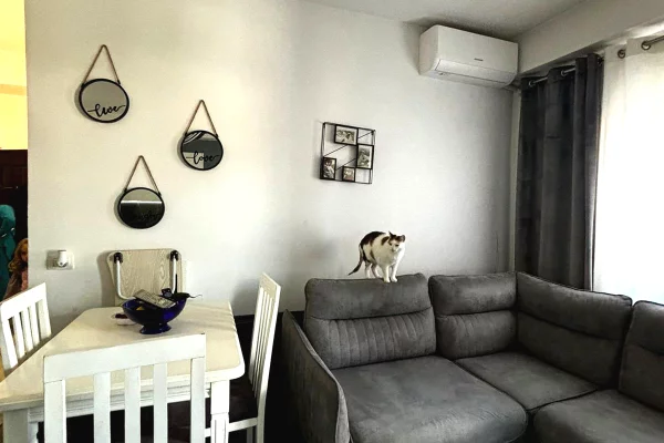 Shtepi ne shitje Apartament ne Tirane, 1+1, Mobilimi E mobiluar, Pagesa 120,000  Euro.
