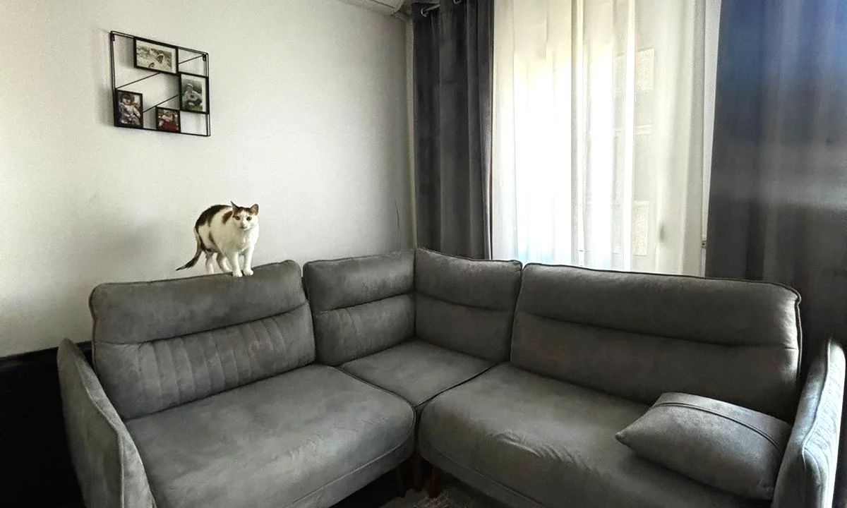 Shtepi ne shitje Apartament ne Tirane, 1+1, Mobilimi E mobiluar, Pagesa 120,000  Euro.