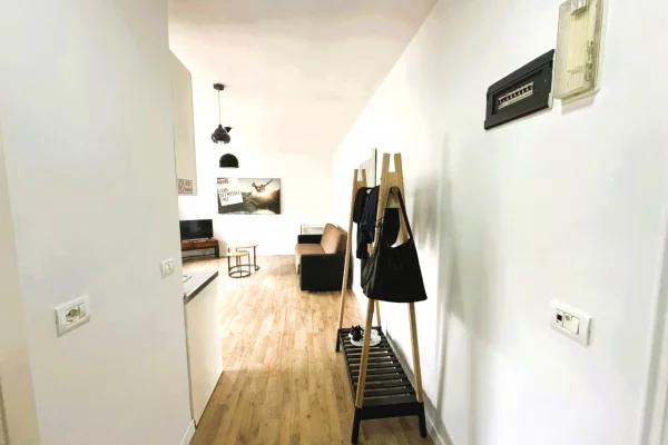 Shtepi me qera Apartament ne Tirane, 1+1, Mobilimi E mobiluar, Pagesa 58,000  Leke.
