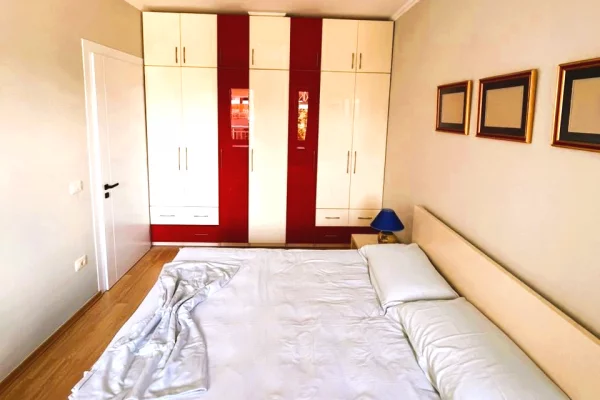 Shtepi me qera Apartament ne Tirane, 1+1, Mobilimi E mobiluar, Pagesa 674  Euro.