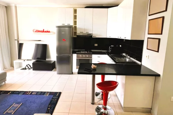Shtepi me qera Apartament ne Tirane, 1+1, Mobilimi E mobiluar, Pagesa 674  Euro.