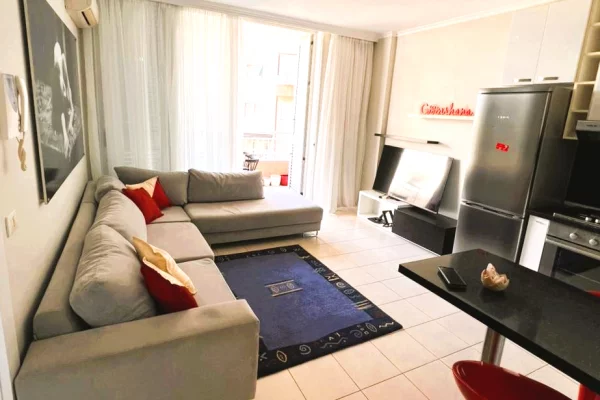 Shtepi me qera Apartament ne Tirane, 1+1, Mobilimi E mobiluar, Pagesa 674  Euro.