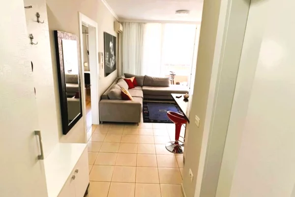 Shtepi me qera Apartament ne Tirane, 1+1, Mobilimi E mobiluar, Pagesa 674  Euro.