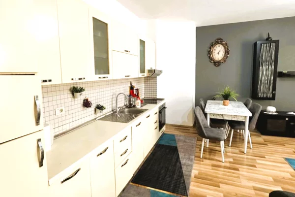 Shtepi ne shitje Apartament ne Tirane, 1+1, Mobilimi E mobiluar, Pagesa 86,700  Euro.