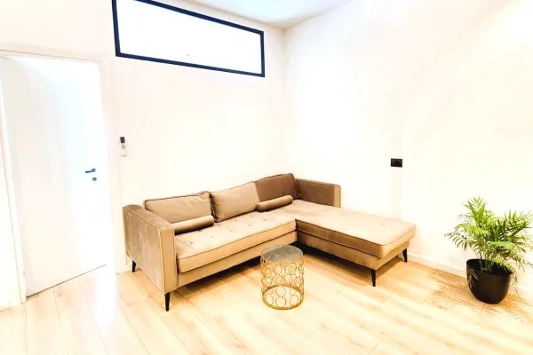 Shtepi ne shitje Apartament ne Tirane, 1+1, Mobilimi E mobiluar, Pagesa 115,000  Euro.