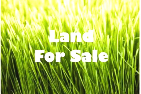 Terreno in vendita a Tirana - 980,000 Euro