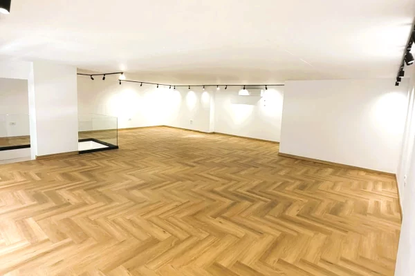 🔥Njesi Biznesi Duplex me Qira te Kompleksi Delijorgji