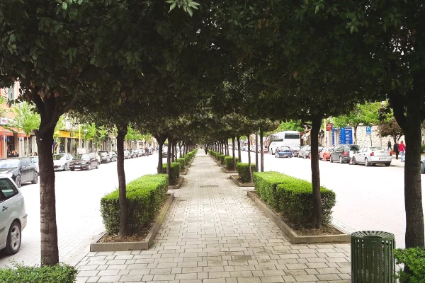 🏙️Dyqan Premium ne Shitje te Bulevardi Zogu I, Tirane📍