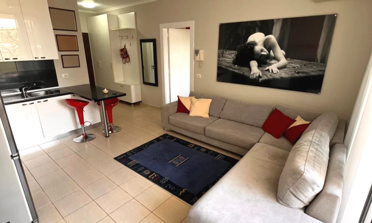 Shtepi me qera Apartament ne Tirane, 1+1, Mobilimi E mobiluar, Pagesa 777  Euro.