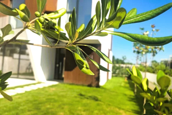 Shtepi ne shitje Vila Luksoze ne Tirane, 4+1, Mobilimi Bosh, pa mobiluar, Pagesa 780,000  Euro.