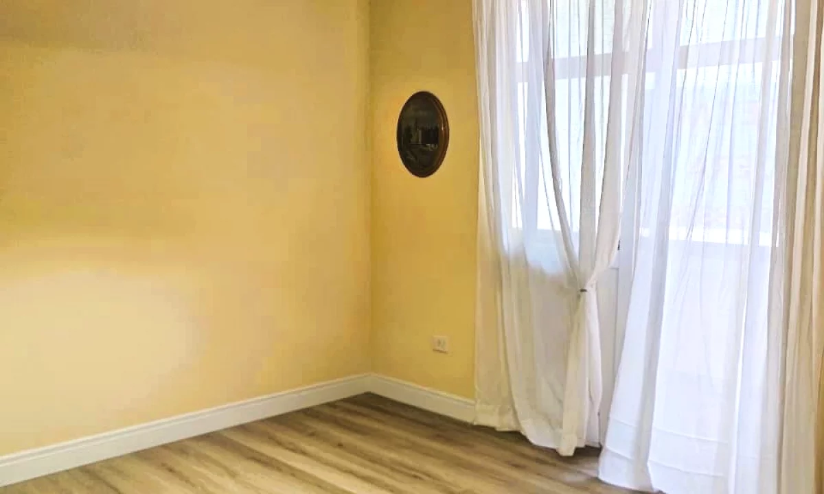 🏙️Jepet ambient per zyre te Sheshi Willson.