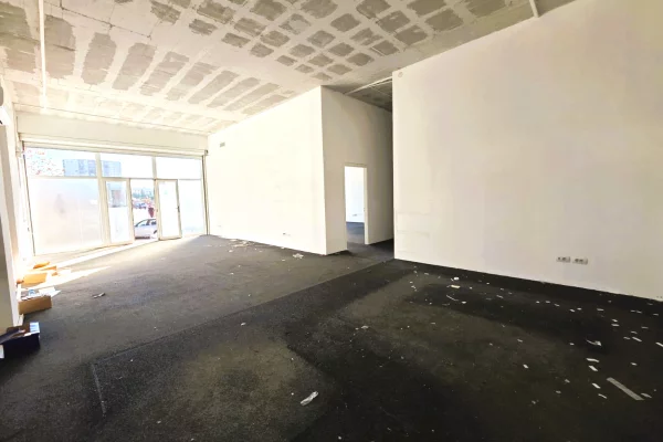 Ambient biznesi me qera 3+1 ne Tirane - 8,000 Euro