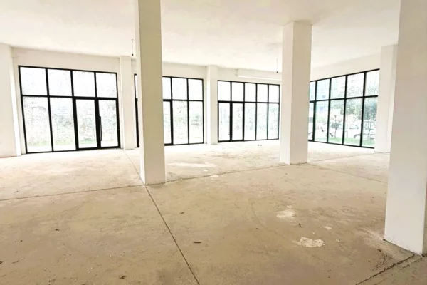 Ambient biznesi me qera 1+1 ne Tirane - 3,000 Euro