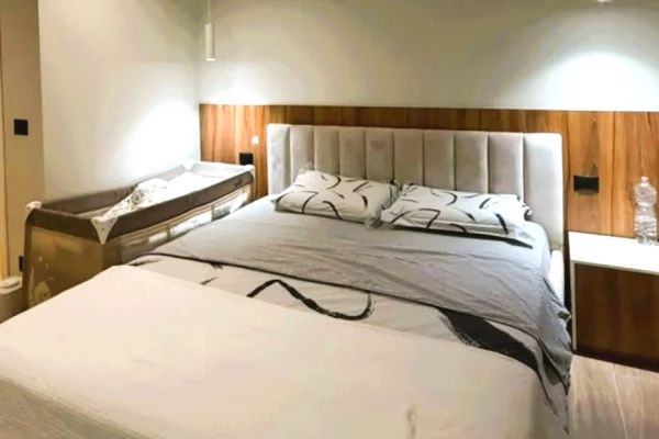 Shtepi ne shitje Apartament ne Tirane, 2+1, Mobilimi E mobiluar, Pagesa 420,000  Euro.