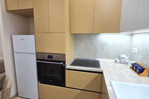 Shtepi me qera Apartament ne Tirane, 2+1, Mobilimi E mobiluar, Pagesa 933  Euro.