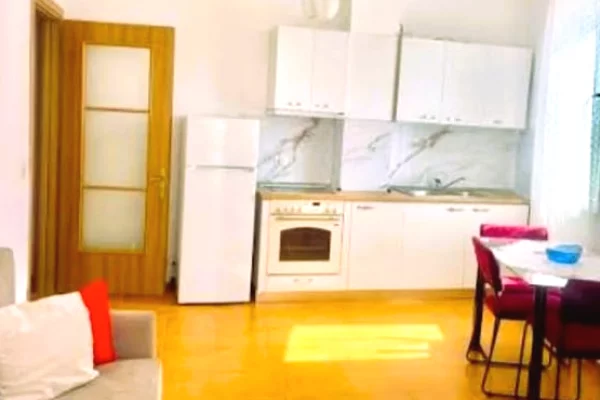 Shtepi ne shitje Apartament ne Tirane, 1+1, Mobilimi E mobiluar, Pagesa 119,001  Euro.