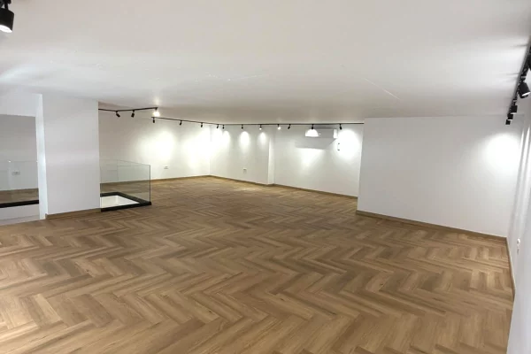 🔥Njesi Biznesi Duplex me Qira te Kompleksi Delijorgji🔥