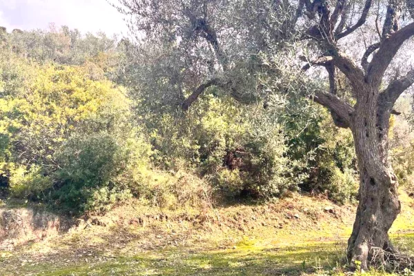 Land for Sale in Saranda - 132,000 Euro