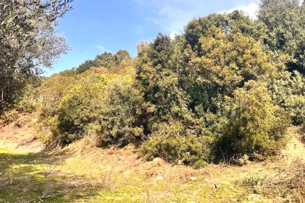 Land for Sale in Saranda - 132,000 Euro