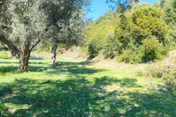 Land for Sale in Saranda - 132,000 Euro