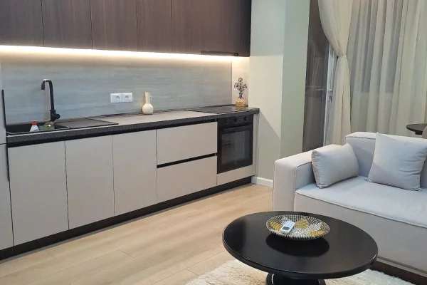 Shtepi me qera Apartament ne Tirane, 1+1, Mobilimi E mobiluar, Pagesa 730  Euro.