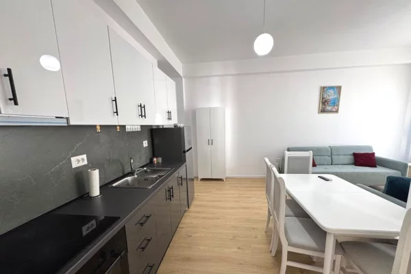 Shtepi ne shitje Apartament ne Tirane, 1+1, Mobilimi E mobiluar, Pagesa 105,000  Euro.