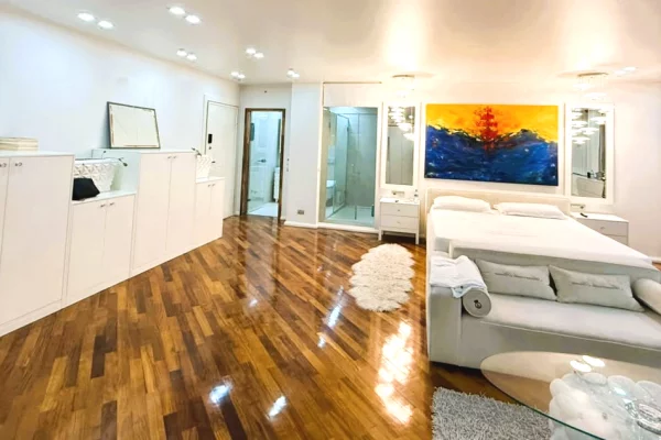 Shtepi ne shitje Apartament ne Tirane, 1+1, Mobilimi E mobiluar, Pagesa 199,999  Euro.