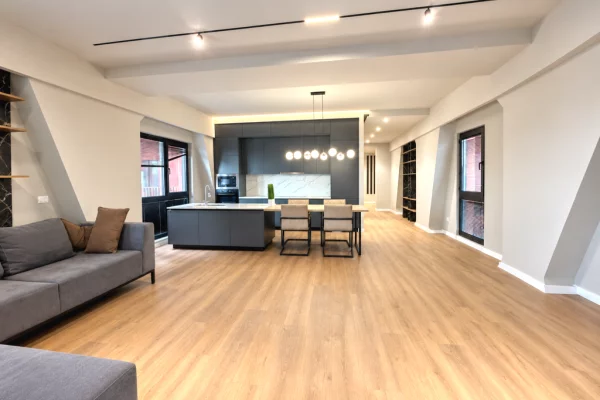 Shtepi ne shitje Apartament ne Tirane, 2+1, Mobilimi E mobiluar, Pagesa 470,000  Euro.
