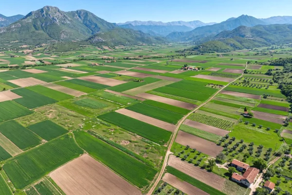 Land for Sale in Tirana - 25,900,000 Leke